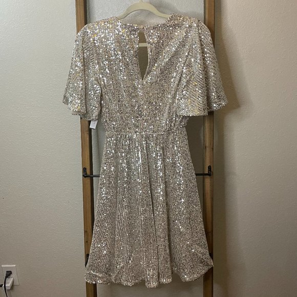 Silver Sequin Mini Dress - Picture 7 of 16